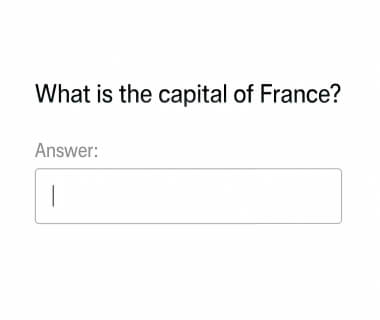 Frage nach der Hauptstadt von Frankreich mit Eingabefeld auf einem digitalen Prüfungsbildschirm