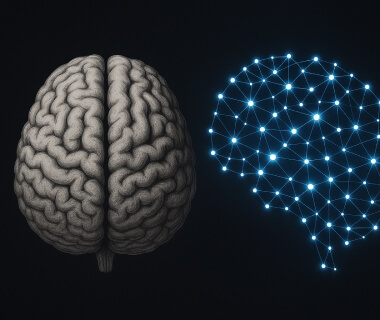 Links ein menschliches Gehirn, rechts ein neuronales Netzwerk als digitale Gehirnstruktur